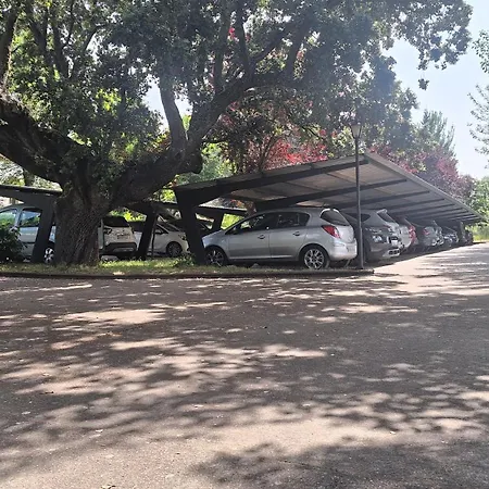 Balneario De Otel 3*